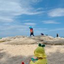 진해구 ⓒ-38 | 아기폐렴 증상 : (RSV, 보카바이러스) 하늘빛어린이병원 1인실 입원후기