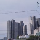 장림1동-10 이미지