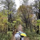 서울자유발도르프학교 이미지