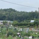 구로-구로-구로-2047 이미지