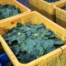 비금지킴이 이미지