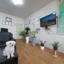 김용주부동산