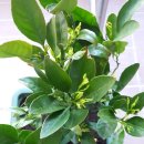 일호농장 이미지