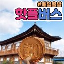경주 황리단길 현지인 맛집 가마솥 족발 후기, 주차 팁