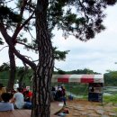 산막이선착장 이미지