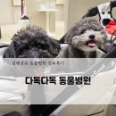 한빛동물병원 | 김해장유 다독다독 동물병원! 내돈내산 강아지 이빨점검 스케일링 진료후기