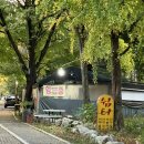 쉼터포장마차 | [올해 야장 마무리] 과천 서울대 공원역 포장마차 @쉼터