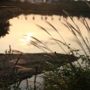 율동공원 이미지