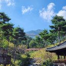 해도담 | 산청 동의보감 ) 동의전 귀감석 복석정 산청한의학박물관 엑스포주제관 황금거북이 산청 돌담 해도담식당