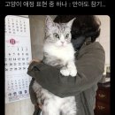 🐈‍⬛ #이거밍욱이 이미지