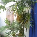 (주)나무 이미지