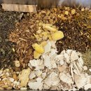 경희백세한의원 | 허약한 허리 무릎 통증에 독활기생탕 후기 / 성수동 한약 한의원