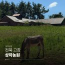 신기농원 | [전북 고창] 당일치기여행 고창 가볼만한곳 파머스카페 '상하농원' 후기
