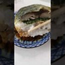 초시마루 이미지