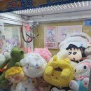 캐치캐치인형뽑기방 이미지