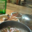 대전백양