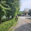 혜전대유치원 이미지