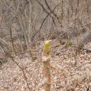 삼마농장 이미지