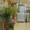 서문미의원 이미지