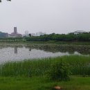 화랑유원지_암벽등반장주변 이미지