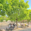 포니랜드 이미지