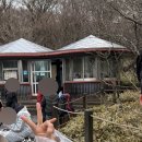 지에스25(GS25)알프스레포츠점 | 251213 등린이 겨울 산행 일기 ep.2 - 한라산 관음사~성판악 코스