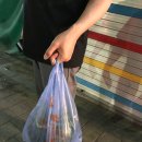 종점청과
