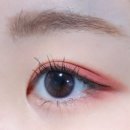 코코링뷰티 | 컬러렌즈 추천 다비치렌즈 뜨레뷰 코코링 착용 후기