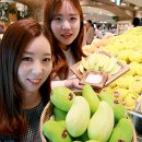 초록망고 이미지