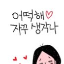 금강동물병원 이미지