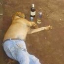 신돼지국밥 이미지