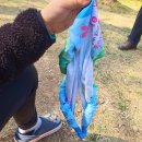 통닭에 마술사 이미지