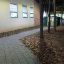 옐로우시티 장성로컬푸드직매장 | 지스트, 광주과학기술원에서 가장 가까운 마트 옐로우시티장성로컬푸드직매장 (아주 NICE)