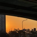 세븐일레븐병점중앙점 | [대만] 가오슝 3박4일 여행 1일차 (저녁 비행기, 타이거항공 지연, 호텔 리뷰)