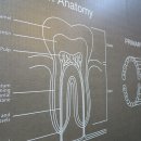 서울성복치과의원 이미지
