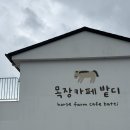돔베리조트 | 가볼만한곳 2일차 코스: 제주오성 아기밥상, 밭디 승마체험, 모던돔베, 신화월드 수영장 준비물 총정리