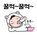 위트케이크