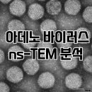 매치파인더