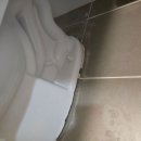월남로 | 🚽 진해남문리젠시빌란트 변기 백시멘트 작업 후기 고민 해결한 하루!