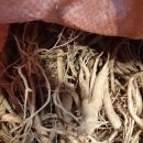 보은닭집 이미지