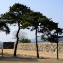 참한상점 이미지