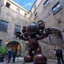 모코(MOCO) 이미지