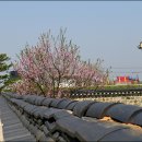 해미읍성 이미지