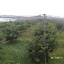 재분농장 이미지