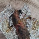 숲속한방랜드숯가마24시 이미지