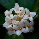 바디공작소 이미지