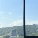 페리카나치킨 증평점 | 증평 벨포레 리조트 수영장 인피니티풀 루지 음식점 양떼목장 후기