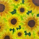 아뜰리에미술교습소 이미지