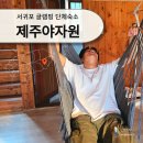 제주 야자원 이미지