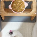 슬로우도 | 강아지 급체방지 애니먼 슬로우식기 솔직후기